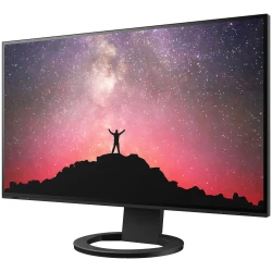 EIZO EV2451-BK  23.8", Wide (16:9), IPS, LED, FlexStand 4 (czarny)