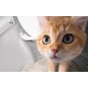 Catlink Scooper Pro Ultra inteligentna samoczyszcząca kuweta kamera AI WiFi