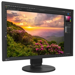 EIZO ColorEdge CS2400S -...