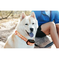 Rojeco PD529 Zestaw obroży antyszczekowych z pilotem 1000m (pomarańczowy)