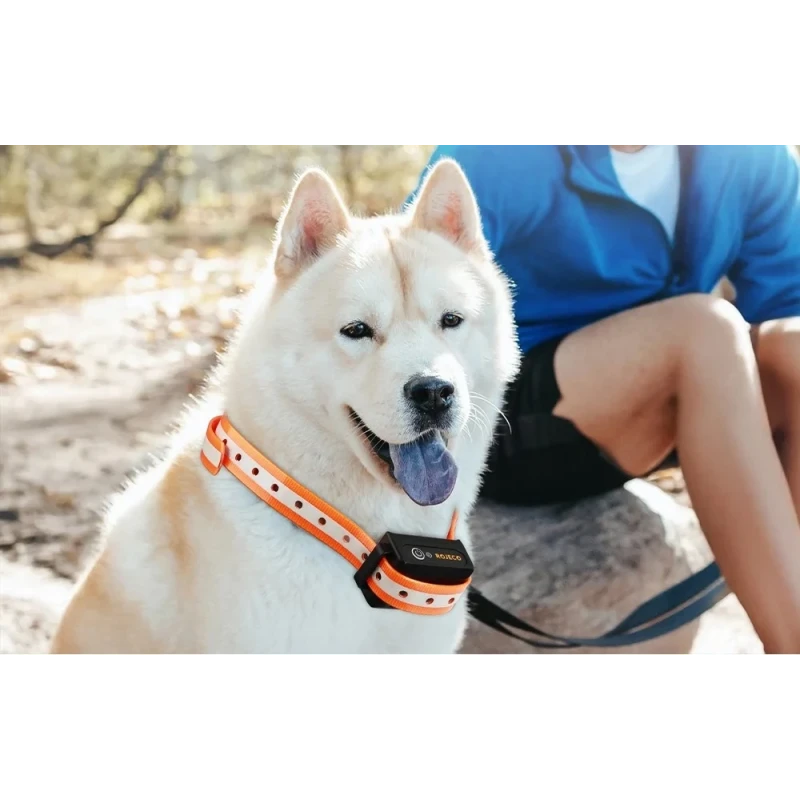 Zestaw obroży antyszczekowych z pilotem Rojeco PD529 1000m (pomarańczowy)
