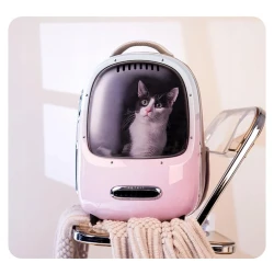 PetKit Breezy 2 komfortowy plecak podróżny dla zwierząt (Zielony)