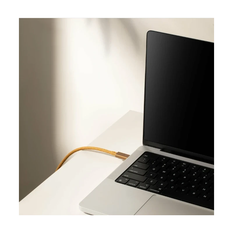 Native Union Belt Cable Pro 240W - kabel USB-C - USB-C, 2,4 m (kraft)