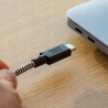 Native Union Belt Cable XL 100W kabel USB-C-USB-C 3m wytrzymały oplot Kevlar (zebra)