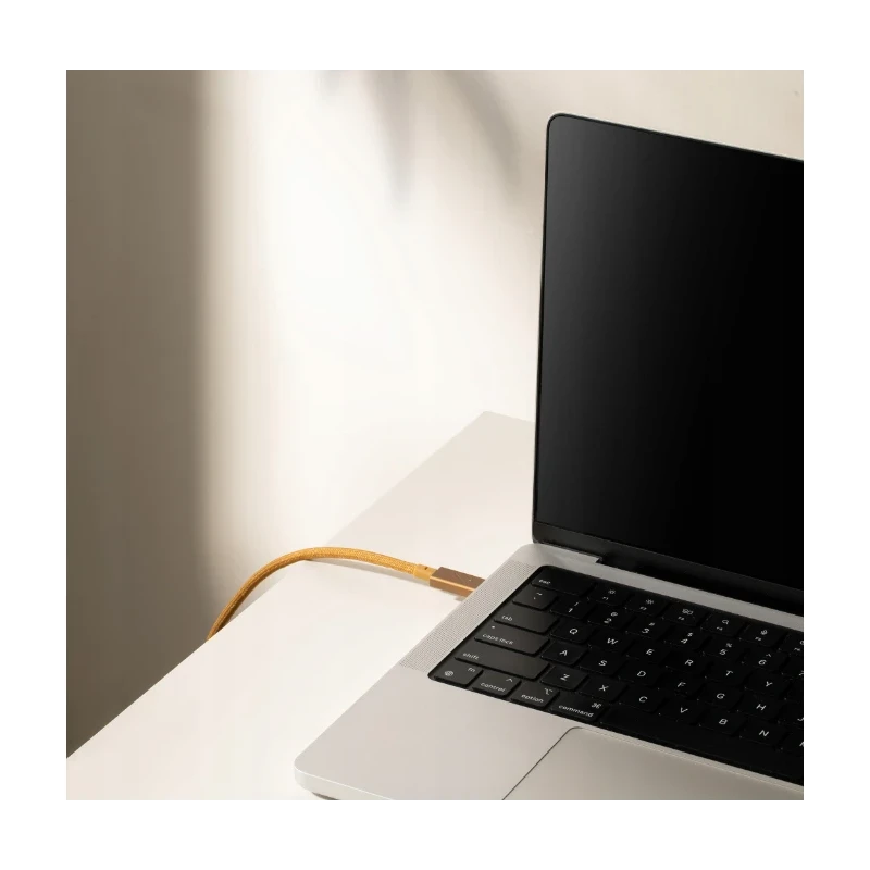 Native Union Belt Cable C-C PRO 2.4m 240W, cosmos