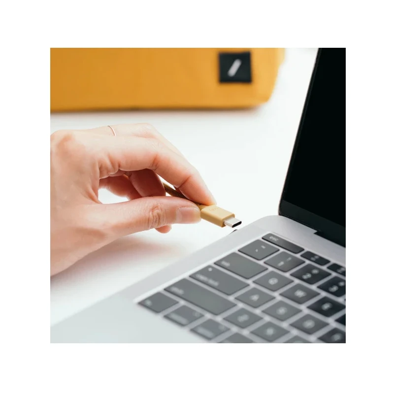 Native Union Anchor Cable 240W - kabel USB-C - USB-C, 3 m (zebra)