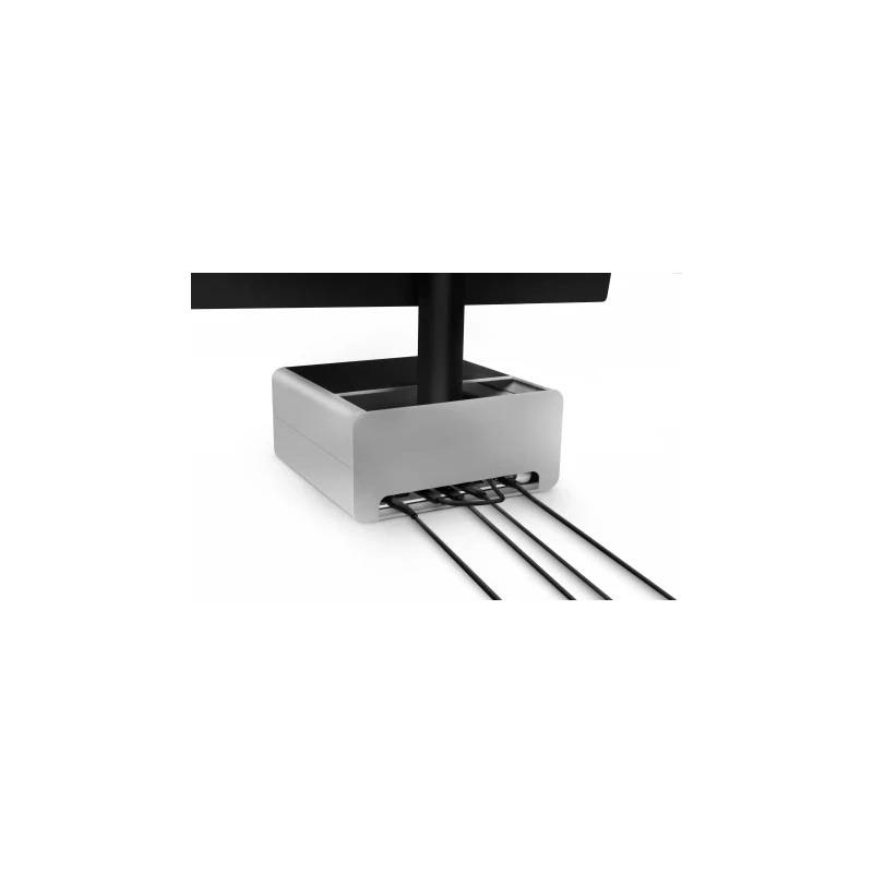 Twelve South HiRise Pro - aluminiowa podstawka do iMac i Apple Studio Display ze schowkiem (silver)