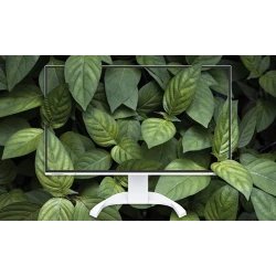 EIZO FlexScan EV3240X-BK - monitor 32", 3840 x 2160, 4K UHD, 16:9, (czarny)