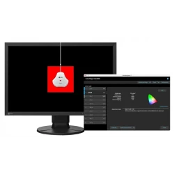EIZO ColorEdge CS2400R - monitor 24", 1920 x 1200, WUXGA, sRGB 100%, kalibracja sprzętowa