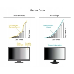 EIZO ColorEdge CS2400R - monitor 24", 1920 x 1200, WUXGA, sRGB 100%, kalibracja sprzętowa