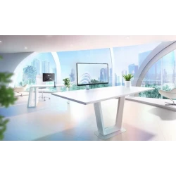 EIZO FlexScan FLT-BK monitor 23,8'' 1920x1080 USB-C zintegrowane ramie 16:9 (czarny)