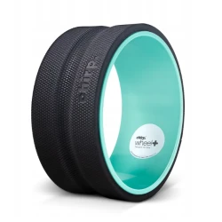 Chirp Wheel Plus 10" koło...