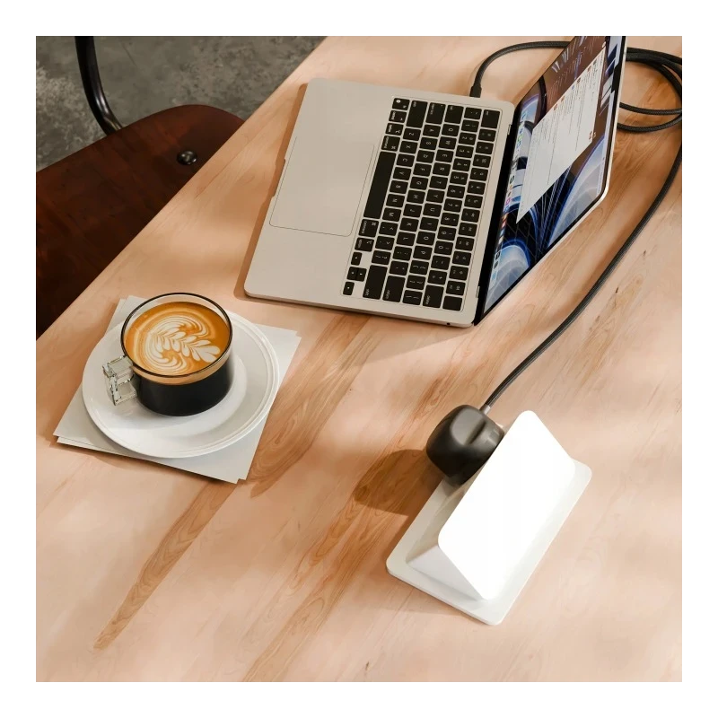 Twelve South PowerCord EU - ładowarka sieciowa 30W z kablem USB-C 1,2m (slate)