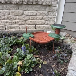 Birdfy Birdbath Jolly V - wanienka dla ptaków z kamerą 1080p HD 60 fps IP66
