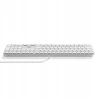 Satechi Slim LX3 Wired klawiatura USB-C/USB-A z układem numerycznym Mac/Win (silver)