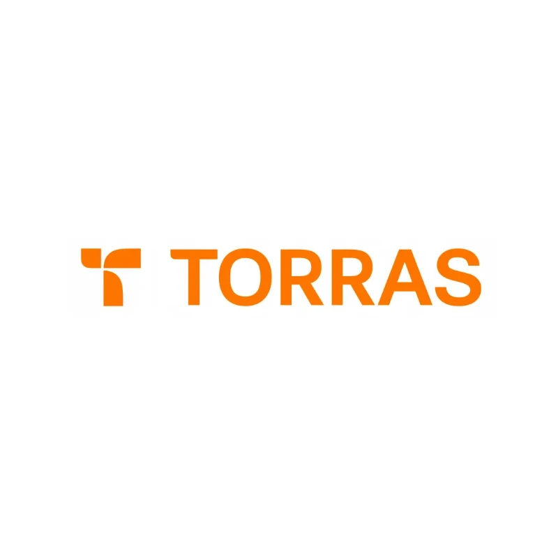 TORRAS GAWX Q3 Air etui case plecki iPhone 17ProMax MagSafe (neon night muse)