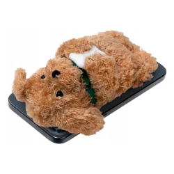 Laut MAGMOJI Wallet portfel...