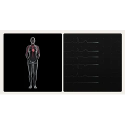 Withings Body Scan 2 waga 6-kanałowe EKG SpO2 tętno analiza składu ciała (black)
