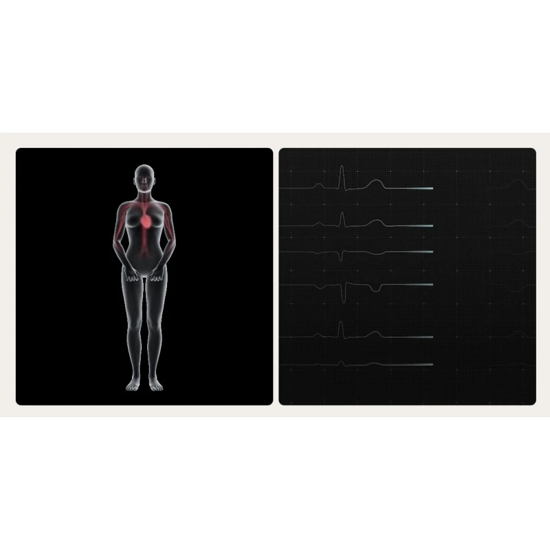 Withings Body Scan 2 waga 6-kanałowe EKG SpO2 tętno analiza składu ciała (black)