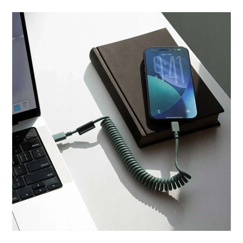 Native Union Pop Cable - kabel USB-C - USB-C, 1,2 m 60W (slate green)