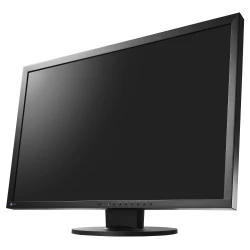 EIZO EV2430-BK - monitor LCD 24,1", Wide (16:10), IPS, LED (czarny)