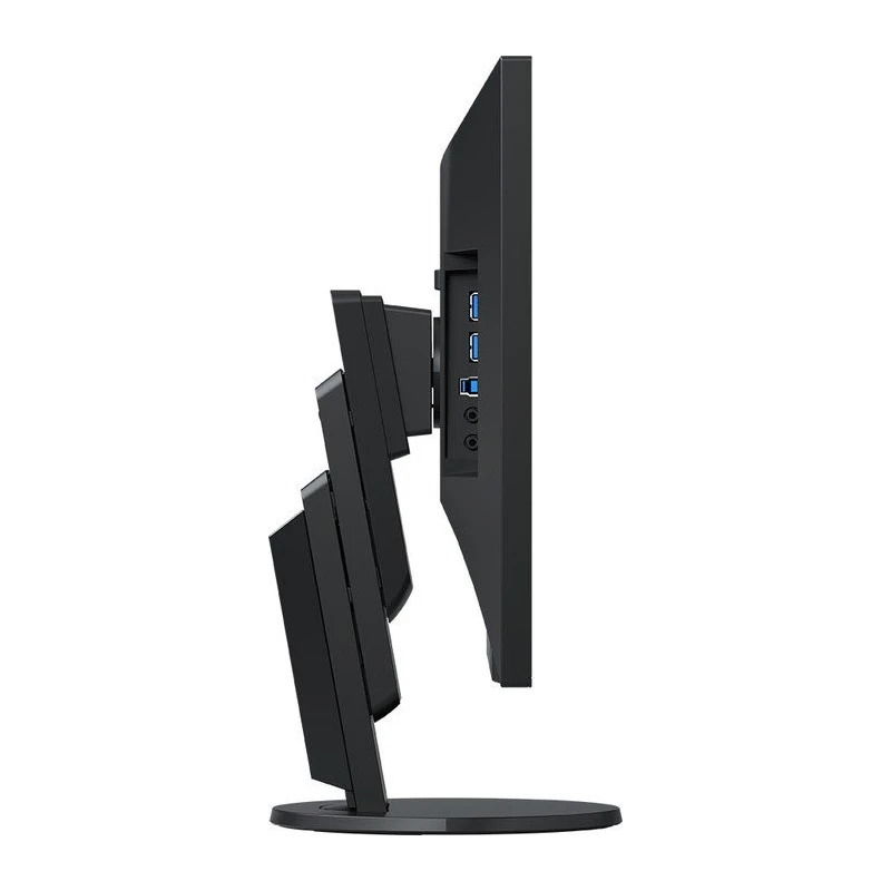 EIZO EV2451-BK  23.8", Wide (16:9), IPS, LED, FlexStand 4 (czarny)