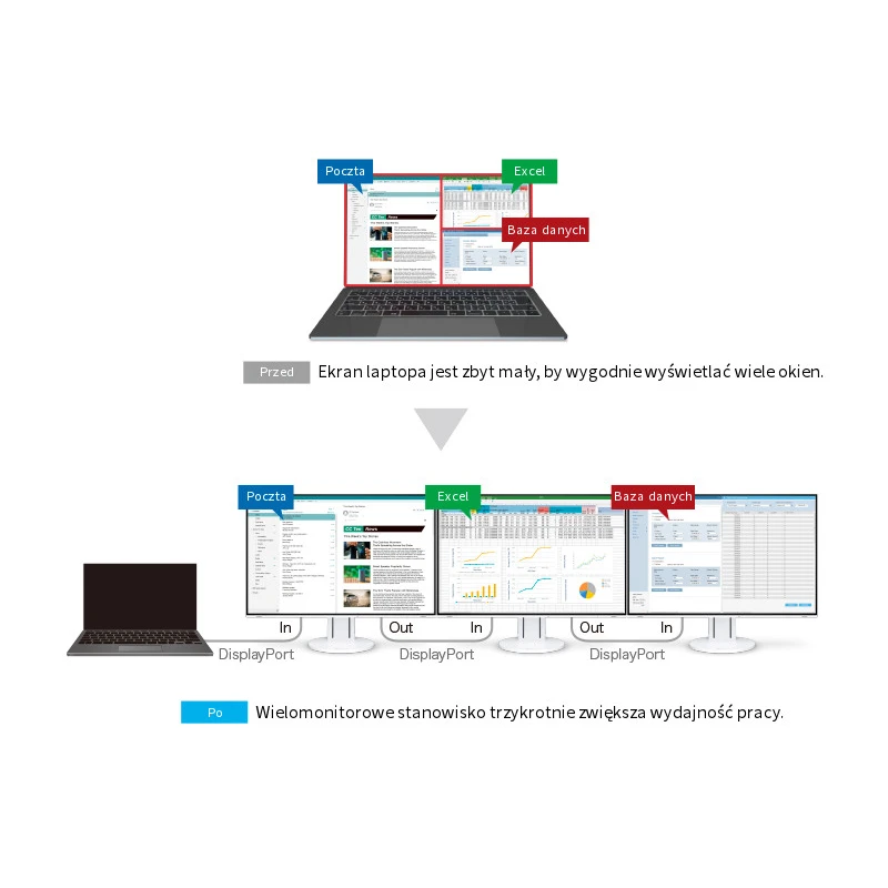 EIZO FlexScan EV2457-WT - monitor 24.1", 1920 x 1200, WUXGA, 16:10, z daisy chain (biały)