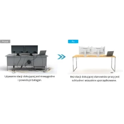 EIZO FlexScan EV2457-WT - monitor 24.1", 1920 x 1200, WUXGA, 16:10, z daisy chain (biały)