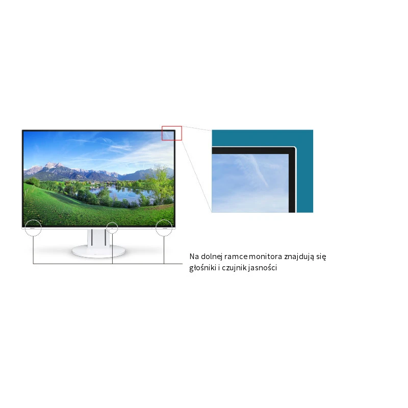 EIZO FlexScan EV2457-WT - monitor 24.1", 1920 x 1200, WUXGA, 16:10, z daisy chain (biały)