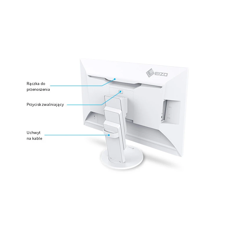 EIZO FlexScan EV2457-WT - monitor 24.1", 1920 x 1200, WUXGA, 16:10, z daisy chain (biały)