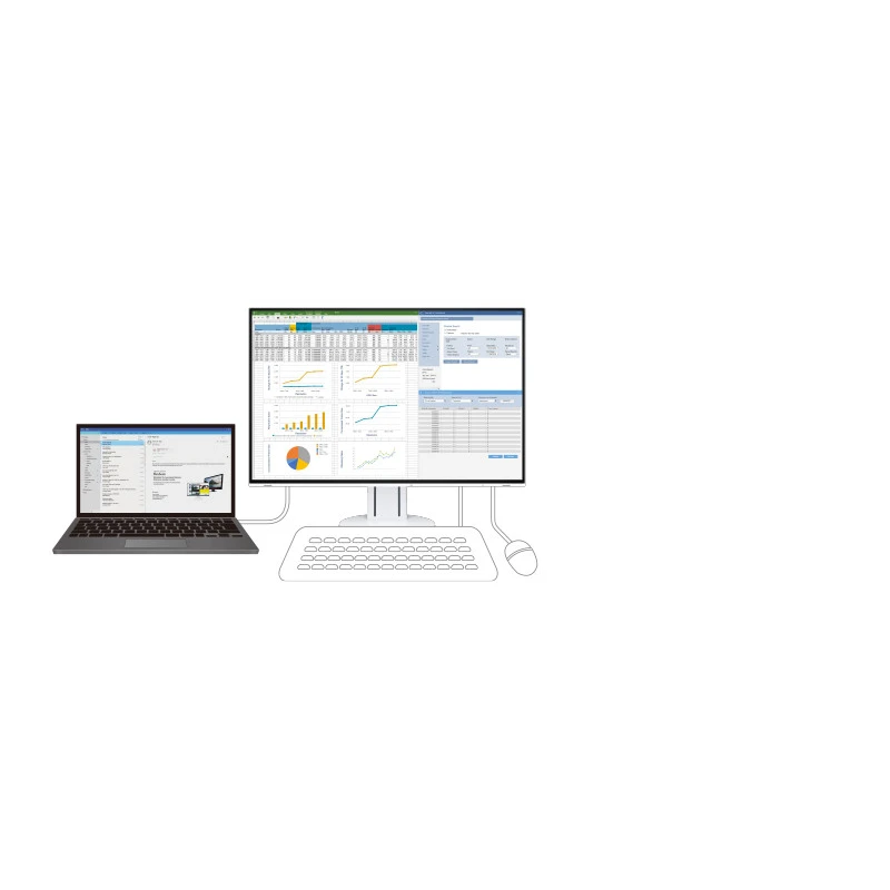 EIZO FlexScan EV2457-WT - monitor 24.1", 1920 x 1200, WUXGA, 16:10, z daisy chain (biały)