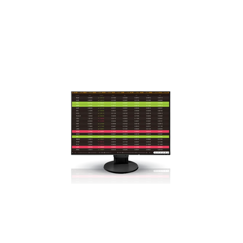 EIZO FlexScan EV2456-BK - monitor 24,1", 1920 x 1200, WUXGA, 16:10, (czarny)