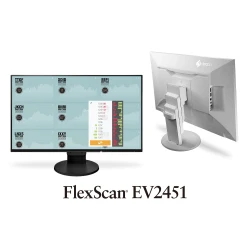 EIZO EV2451-BK  23.8", Wide (16:9), IPS, LED, FlexStand 4 (czarny)