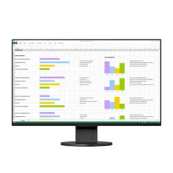 EIZO EV2451-BK  23.8", Wide (16:9), IPS, LED, FlexStand 4 (czarny)