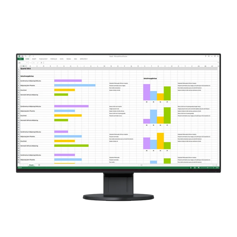 EIZO EV2451-BK  23.8", Wide (16:9), IPS, LED, FlexStand 4 (czarny)