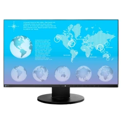 EIZO EV2451-BK  23.8", Wide (16:9), IPS, LED, FlexStand 4 (czarny)