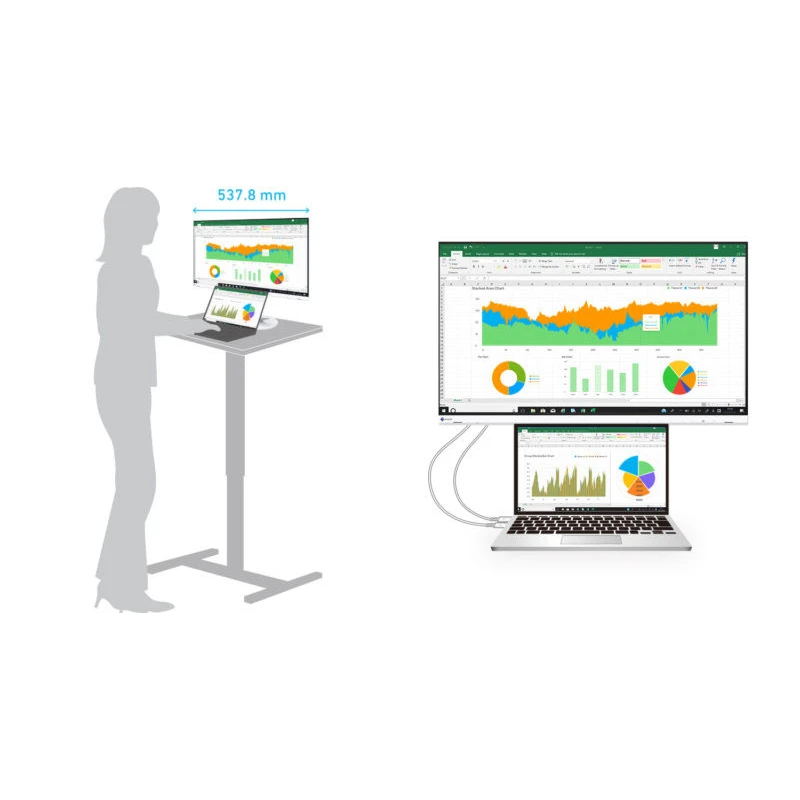 EIZO FlexScan EV2460 - monitor 23,8",1920 x 1080, FullHD, 16:9, (biały)
