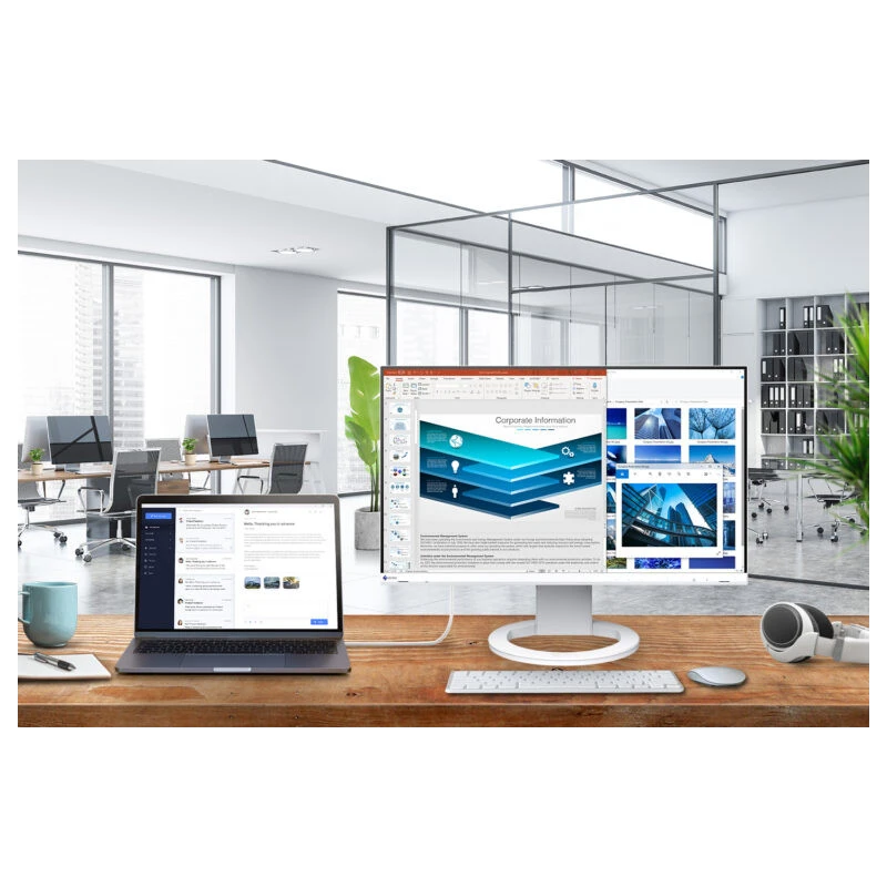 EIZO FlexScan EV2480-BK - monitor 23,8", 1920 x 1080, FullHD, 16:9, (czarny)