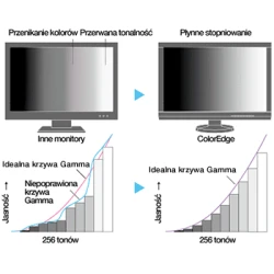 EIZO ColorEdge CG2420 - monitor 24,1", 1920 x 1200, WUXGA, AdobeRGB 99%, wbudowany kalibrator