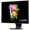 EIZO EV2451-BK  23.8", Wide (16:9), IPS, LED, FlexStand 4 (czarny)