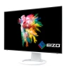 EIZO FlexScan EV2495-WT - monitor 24", 1920 x 1200, WUXGA, 16:10, z daisy chain, karta sieciowa (biały)