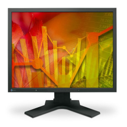 EIZO S2133 - monitor LCD 21,3", IPS, HA stand, gwarancja 5 lat (czarny)