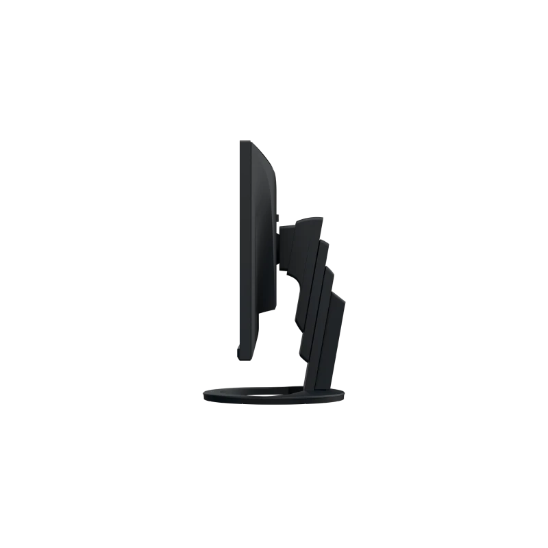 EIZO FlexScan EV2490-BK - monitor 23,8", 1920 x 1080, FullHD, 16:9 (czarny)