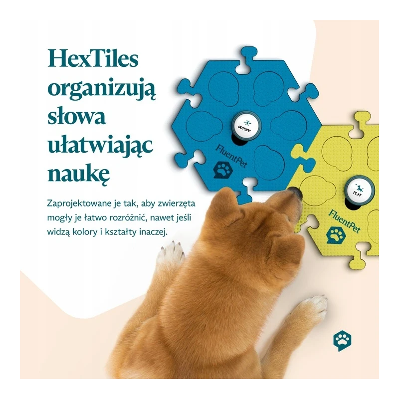 FluentPet - Basic Tester Kit - zestaw 2 przycisków z piankowymi matami i naklejkami do komunikacji z psem / kotem