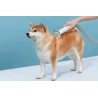 Neakasa P2 Pro cichy zestaw do groomingu skrzyżenia psów kotów + odkurzacz
