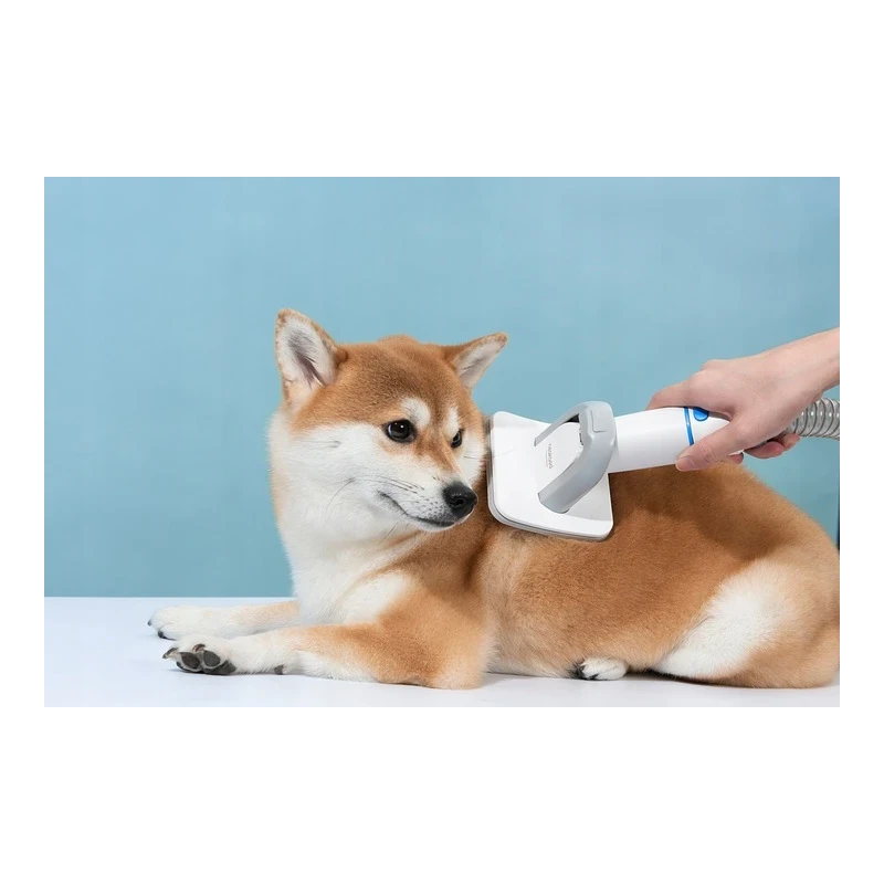 Neakasa P2 Pro cichy zestaw do groomingu skrzyżenia psów kotów + odkurzacz