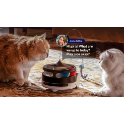 EnaBot - Rola PetPal Interactive Toy - interaktywny moduł zabaw dla psa i kota do robota PetPal