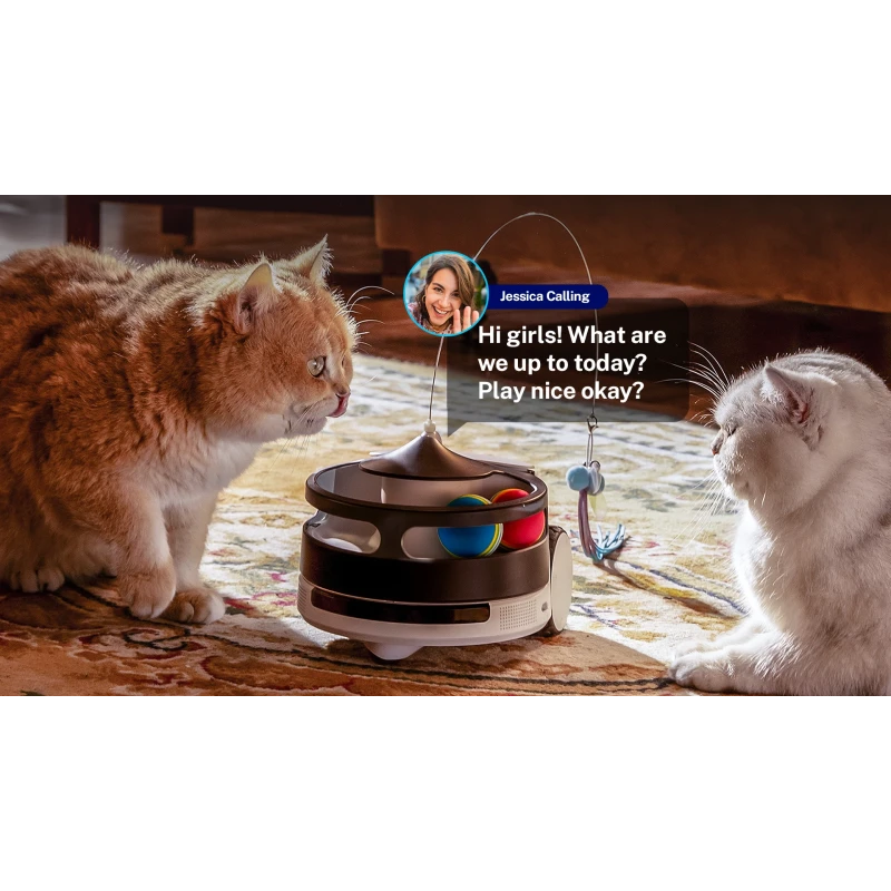 EnaBot - Rola PetPal Interactive Toy - interaktywny moduł zabaw dla psa i kota do robota PetPal