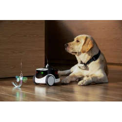 EnaBot - Rola PetPal Interactive Toy - interaktywny moduł zabaw dla psa i kota do robota PetPal