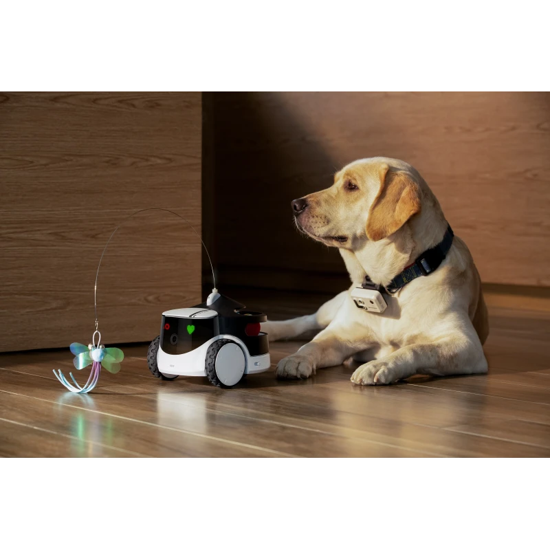 EnaBot - Rola PetPal Interactive Toy - interaktywny moduł zabaw dla psa i kota do robota PetPal